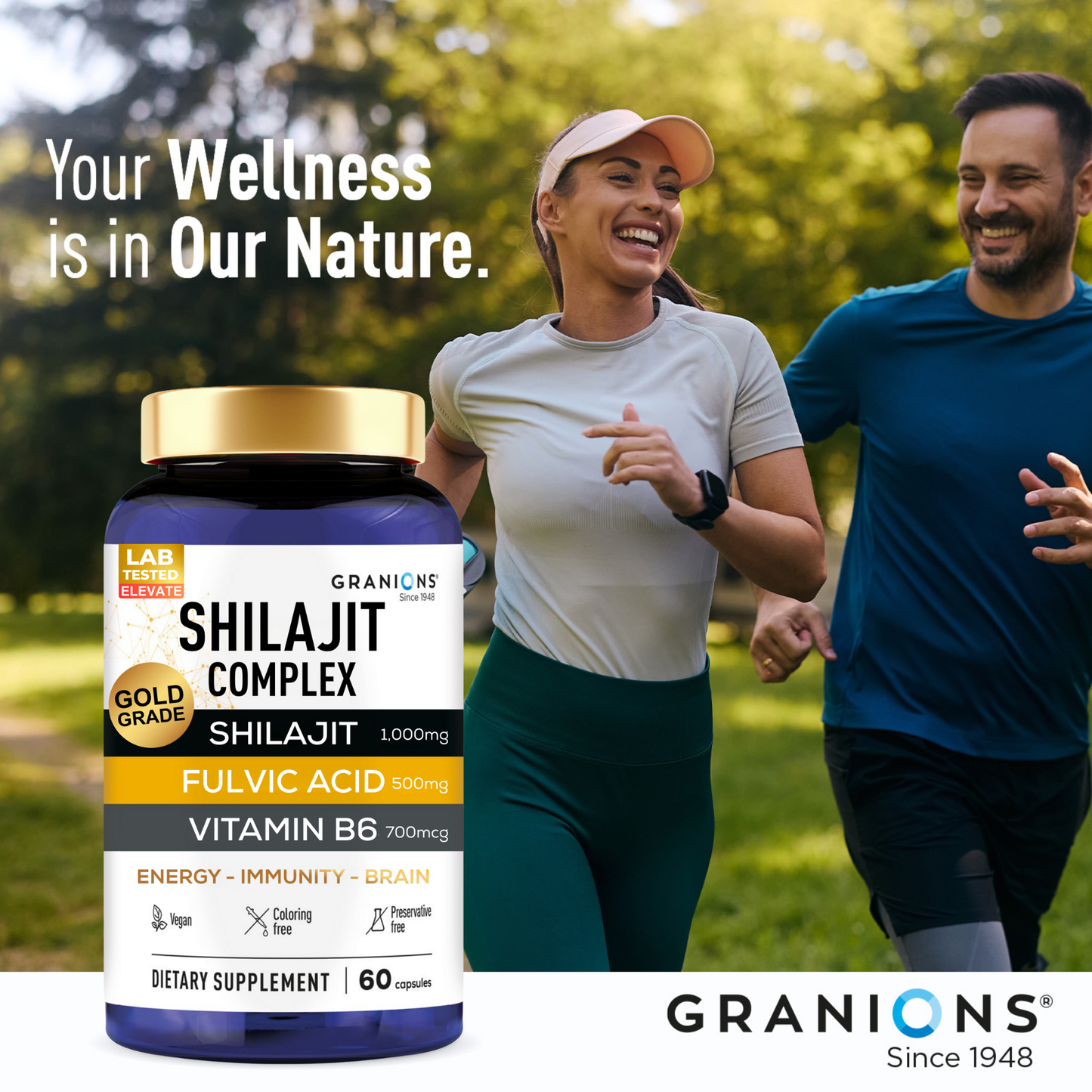 Shilajit Complex – Energy, Vitality & Brain Support with Fulvic Acid + Vitamin B6