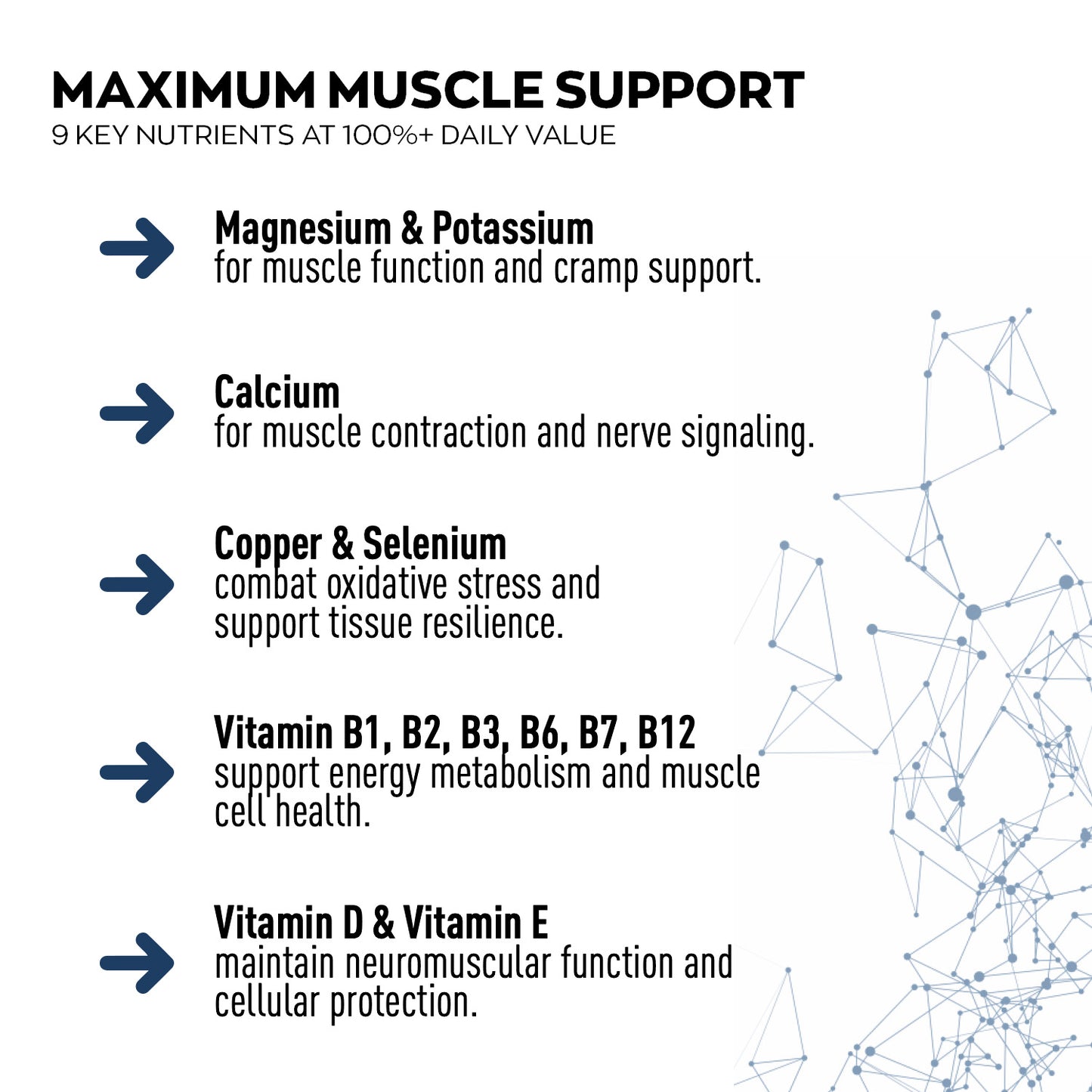 Chart detailing key nutrients for maximum muscle support with a network diagram on a white background.