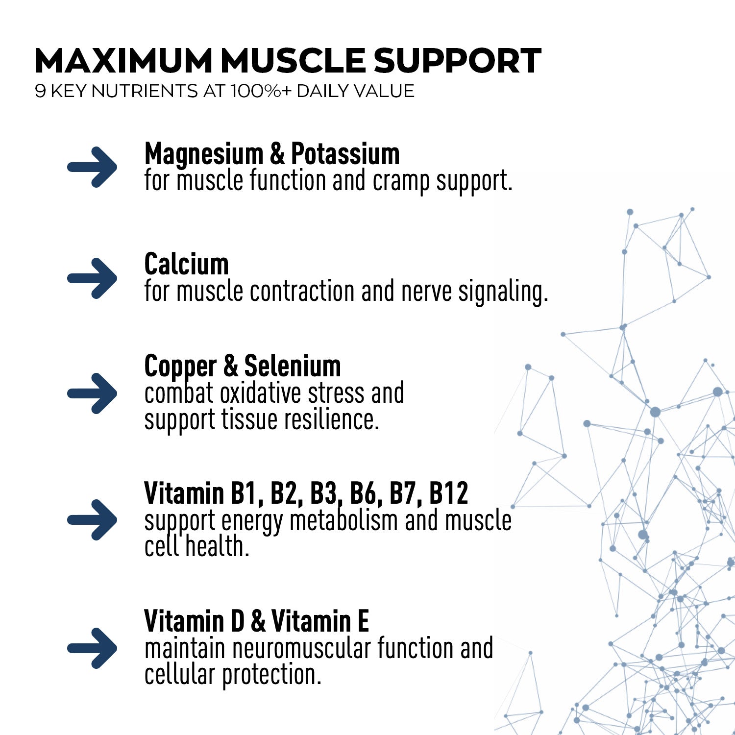 Chart detailing key nutrients for maximum muscle support with a network diagram on a white background.