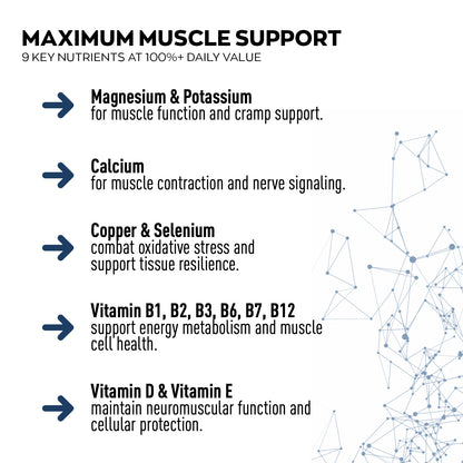Chart detailing key nutrients for maximum muscle support with a network diagram on a white background.