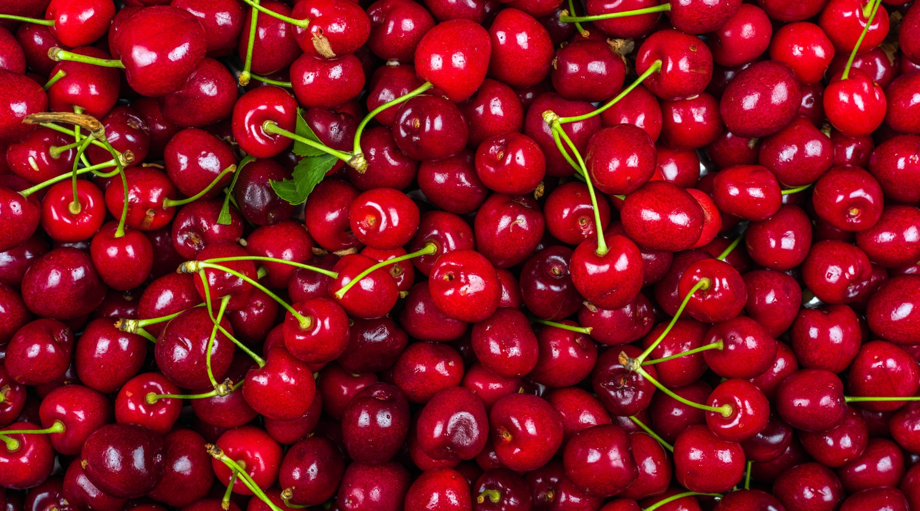 Acerola Cherries 