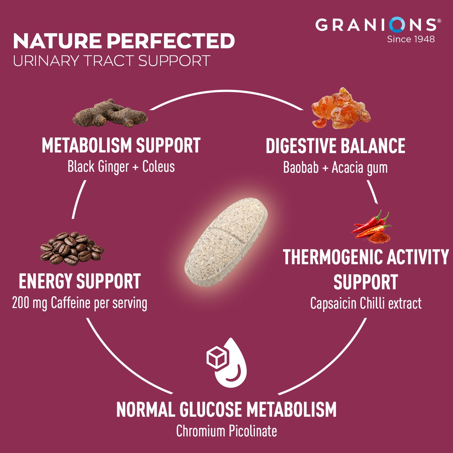 Granions urinary tract support supplement infographic with ingredients and benefits on a purple background.